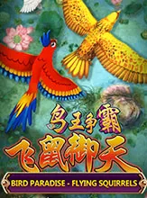 สล็อต SlotXO Bird Paradise เว็บตรง 123PLAY